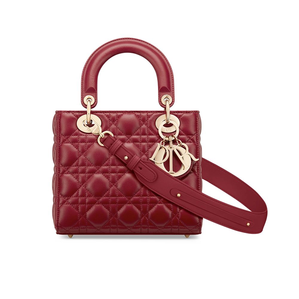 Lady DIOR Bag Medium