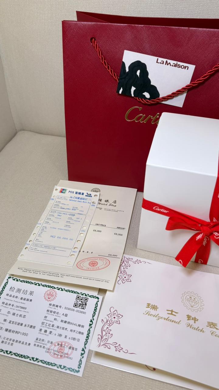 Cartier Santos Large