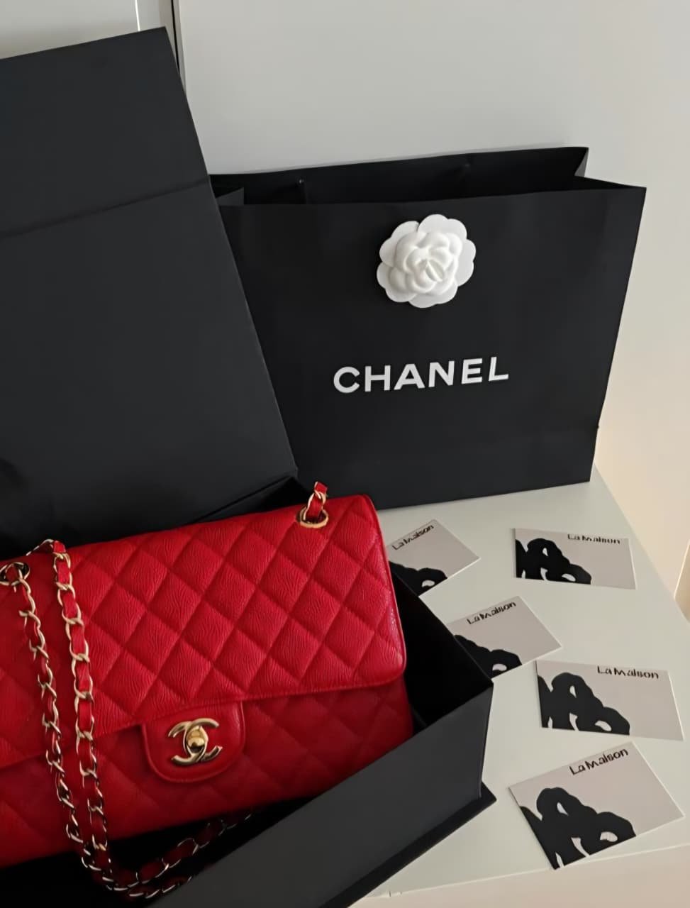 Chanel Handbag Classic